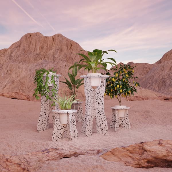 plant holder render